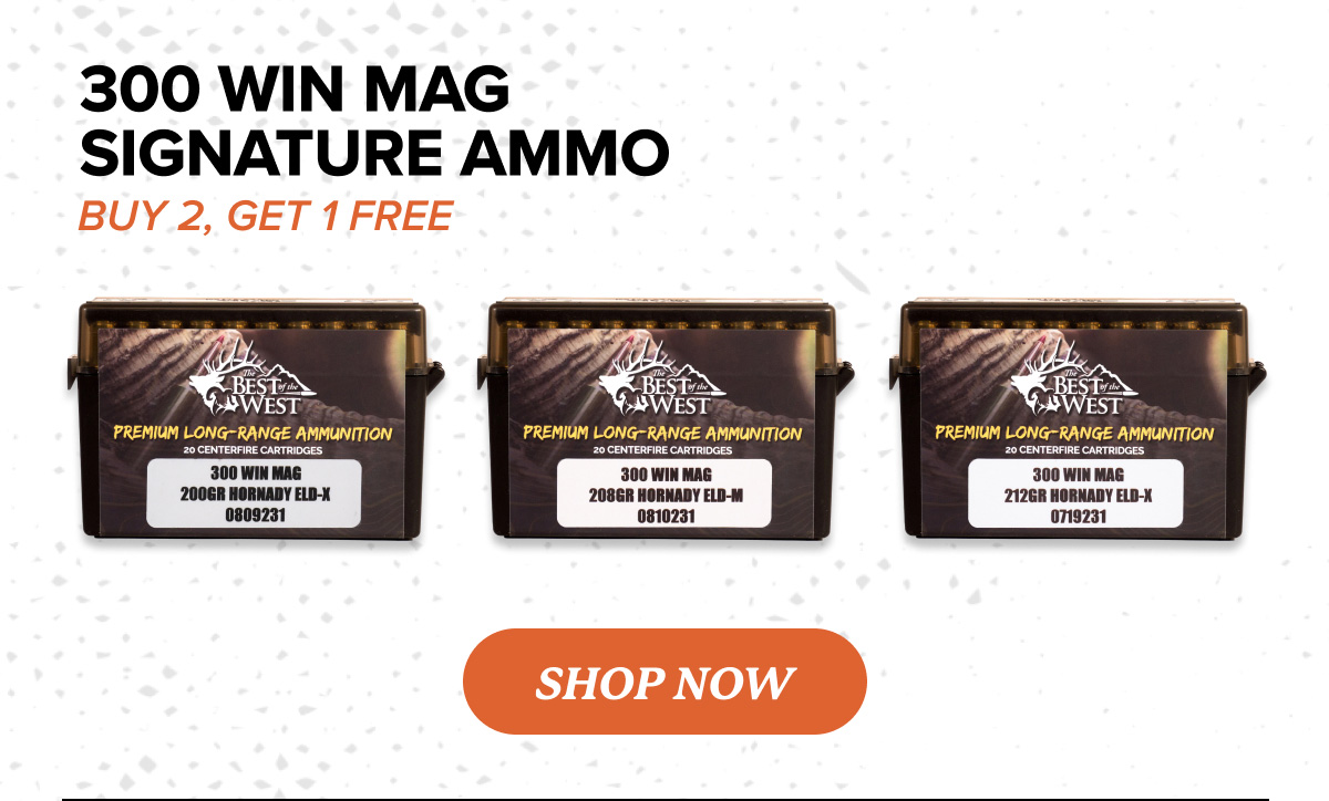Shop 300 Win Mag Ammo