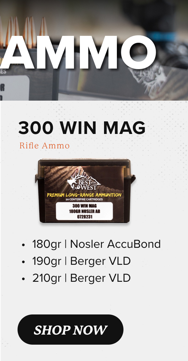 Shop 300 WIN MAG Ammo