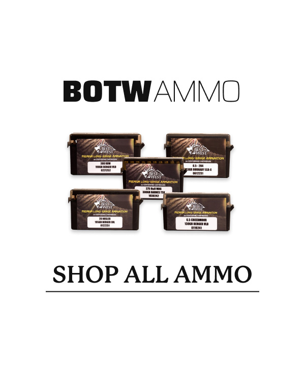 Shop All BOTW Ammo