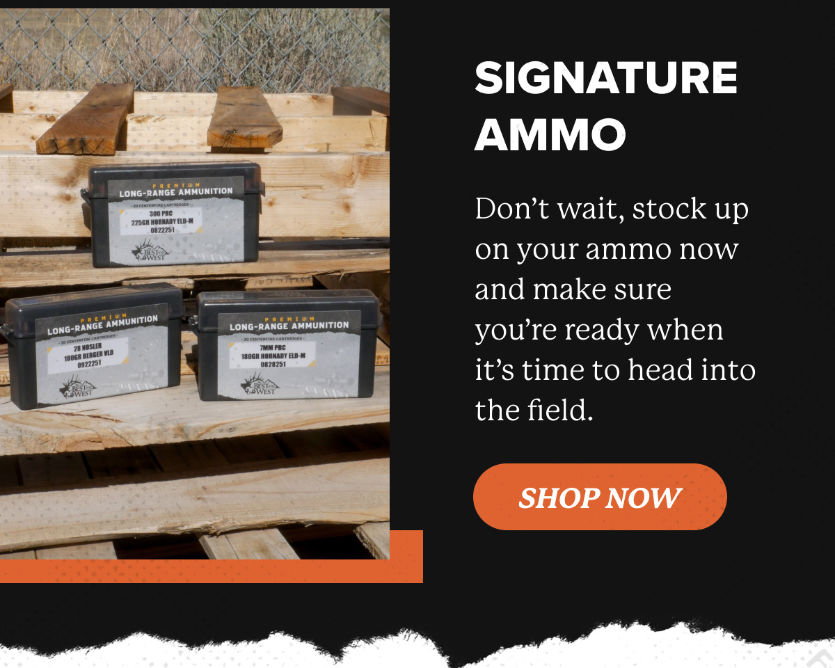 Shop BOTW Signature Ammo
