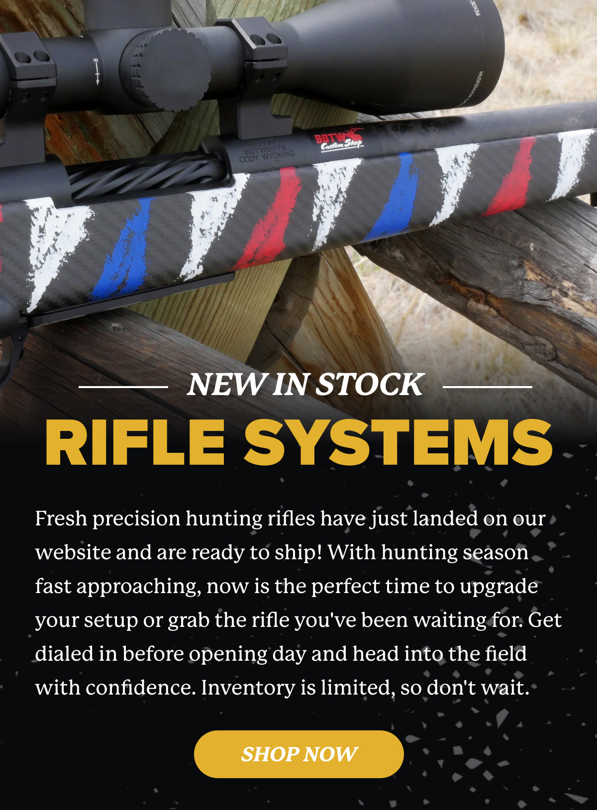 Shop In Stock Rifles Now!