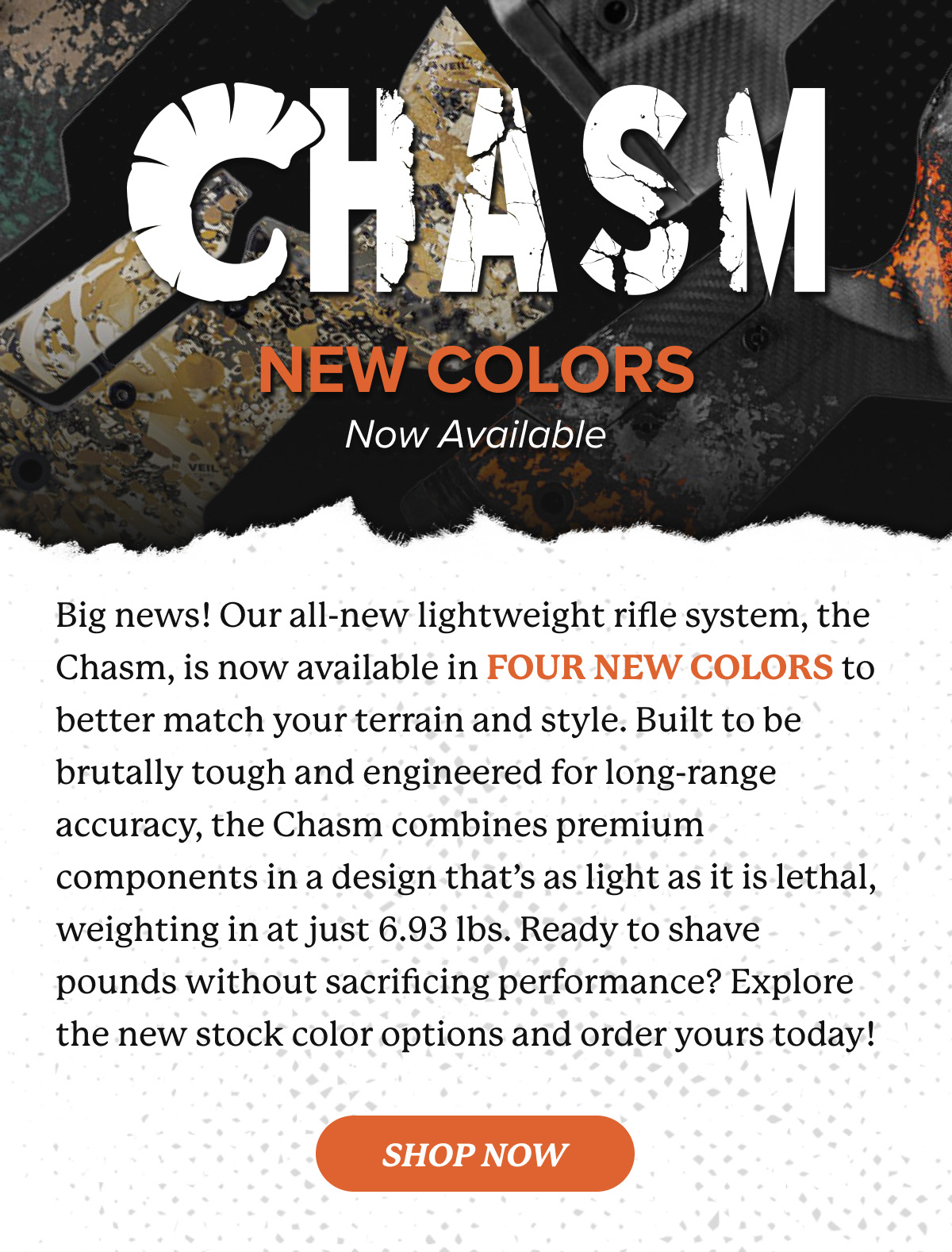 Shop The Chasm Now!