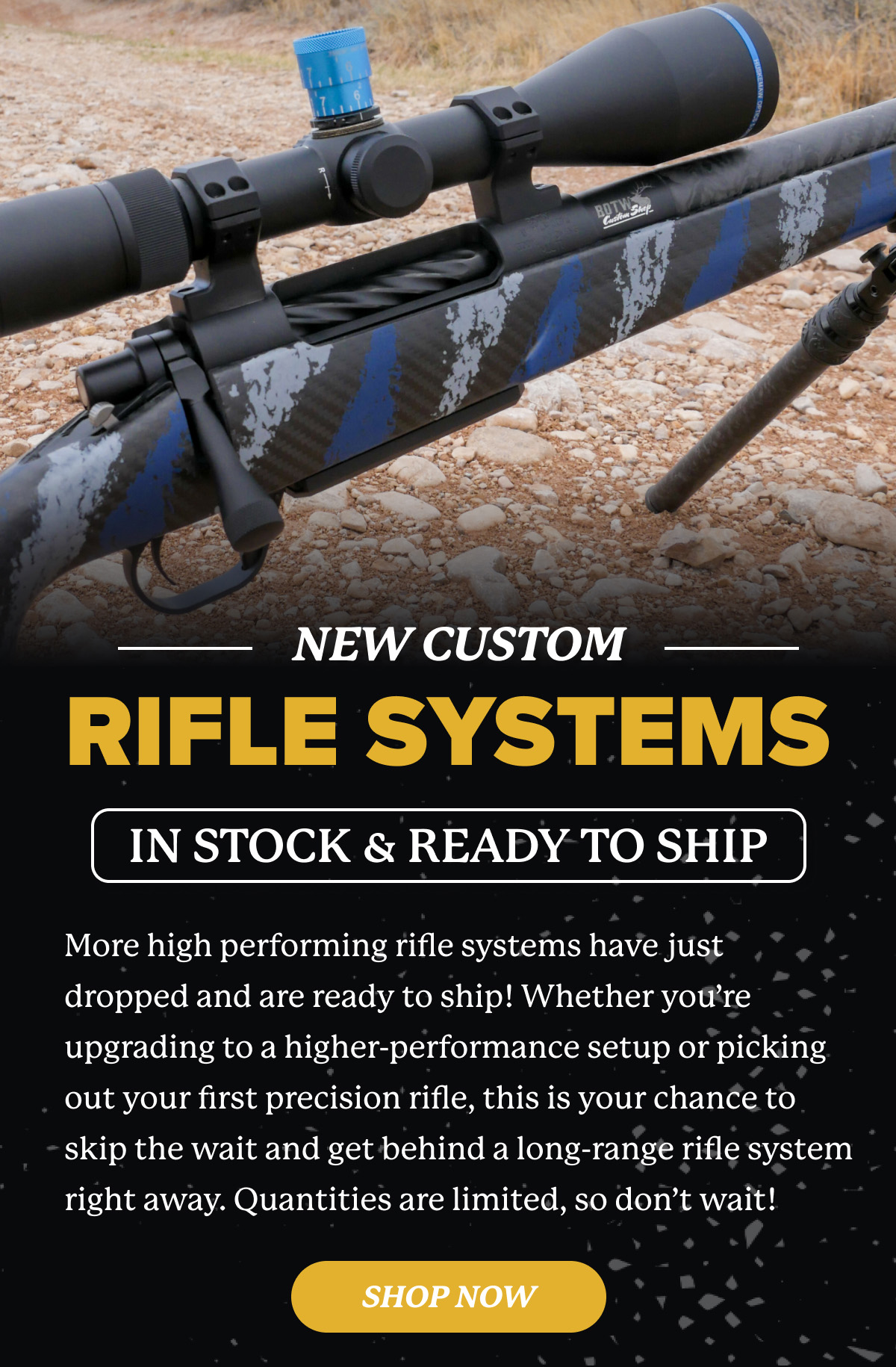 Shop in Stock Rifles Now!