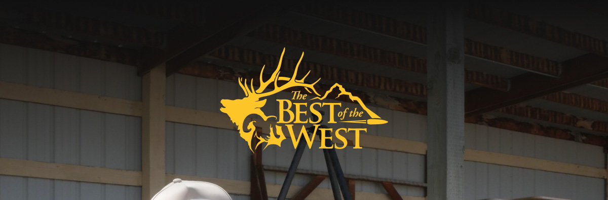 BOTW Website
