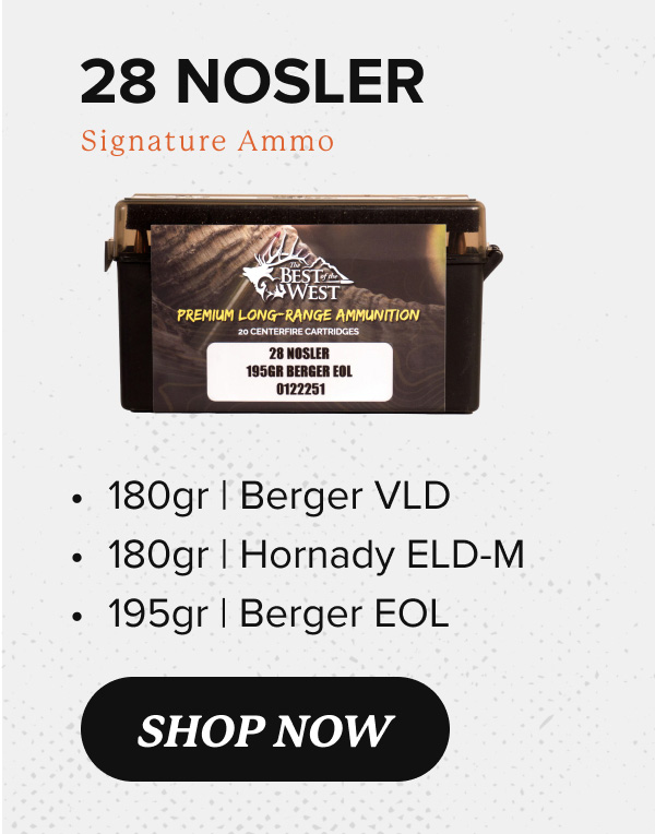 Shop 28 Nosler Ammo