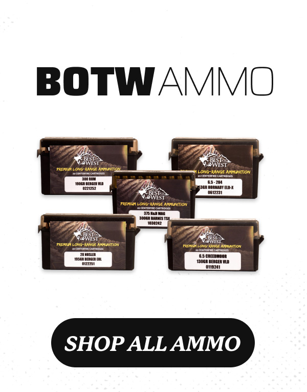 Shop All BOTW Ammo