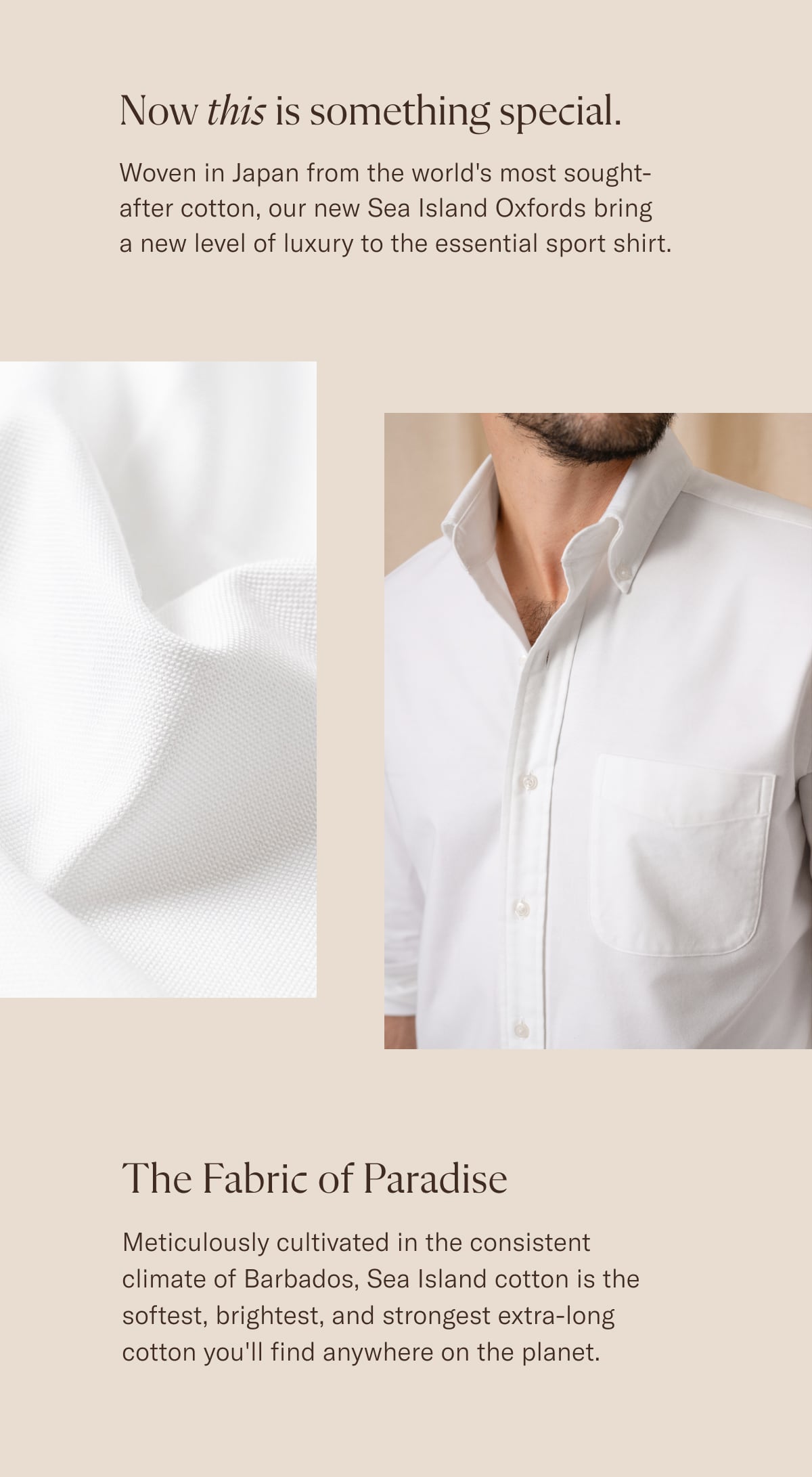 Rarest of the Rare Introducing Sea Island Oxfords Proper Cloth