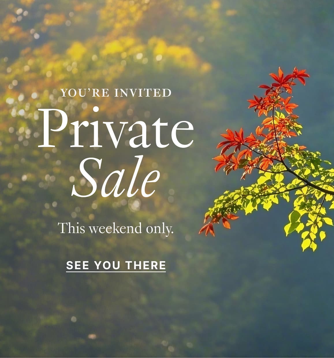 Shop The Sale