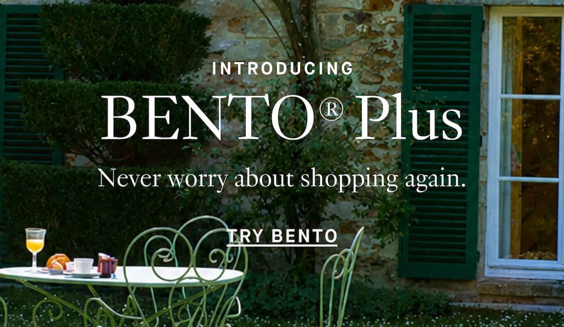 Introducing Bento Plus