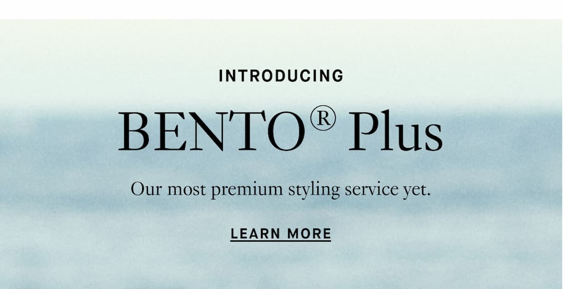 Introducing Bento Plus