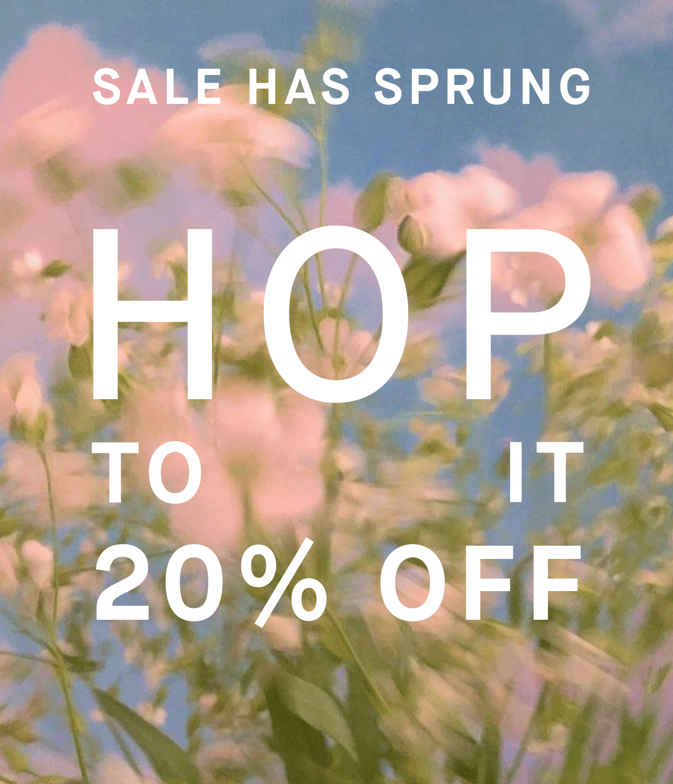 Sale has sprung