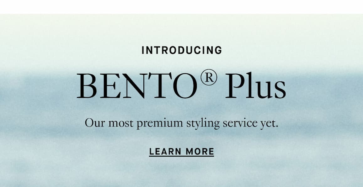Introducing Bento Plus