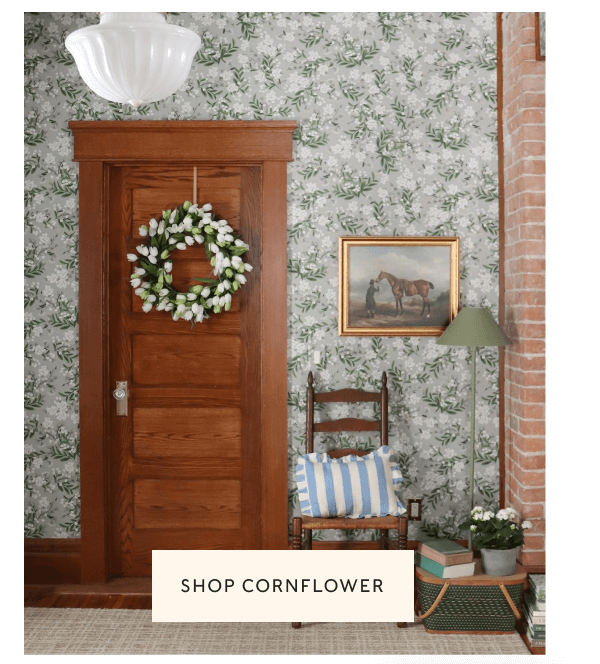 SHOP CORNFLOWER