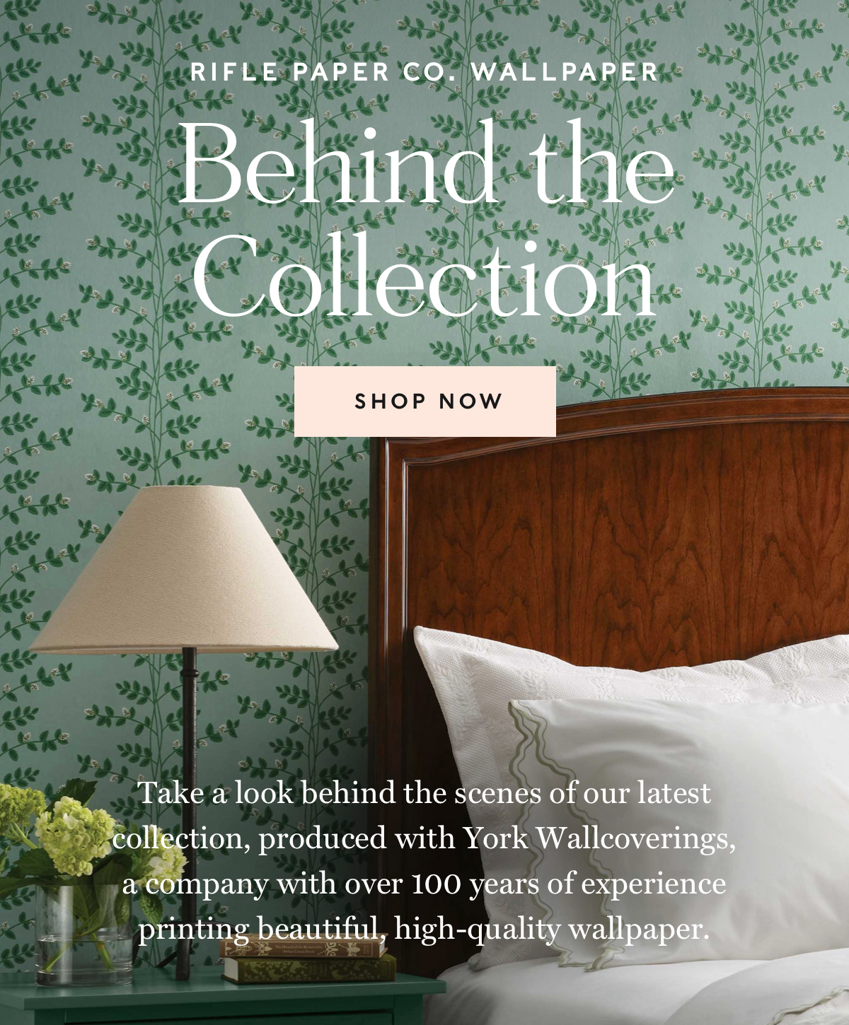 Rifle Paper Co Wallpaper: Behind the Collection