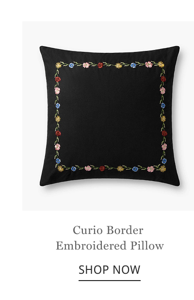 Curio Border Embroidered Pillow