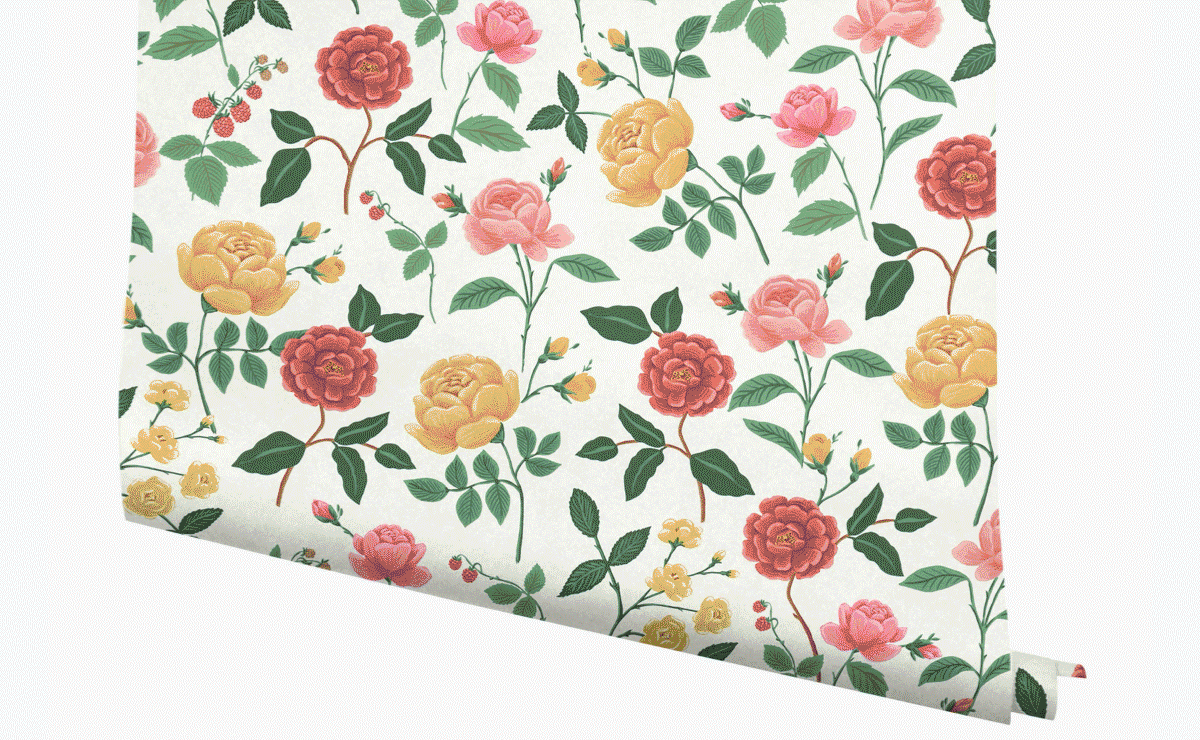 Discover New Wallpaper