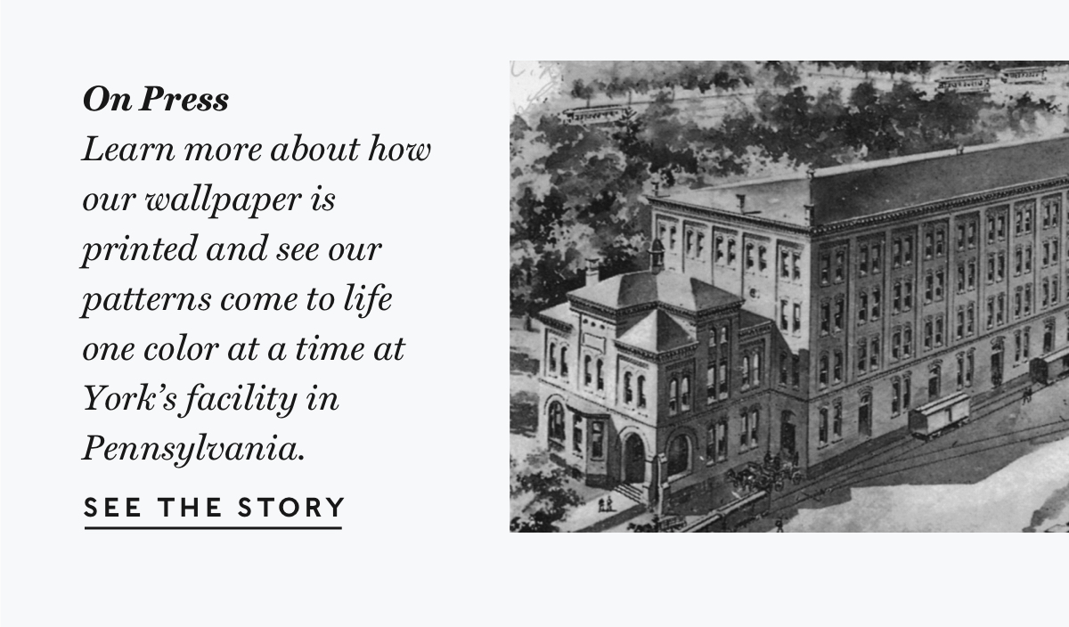 Rifle Paper Co Wallpaper: Behind the Collection