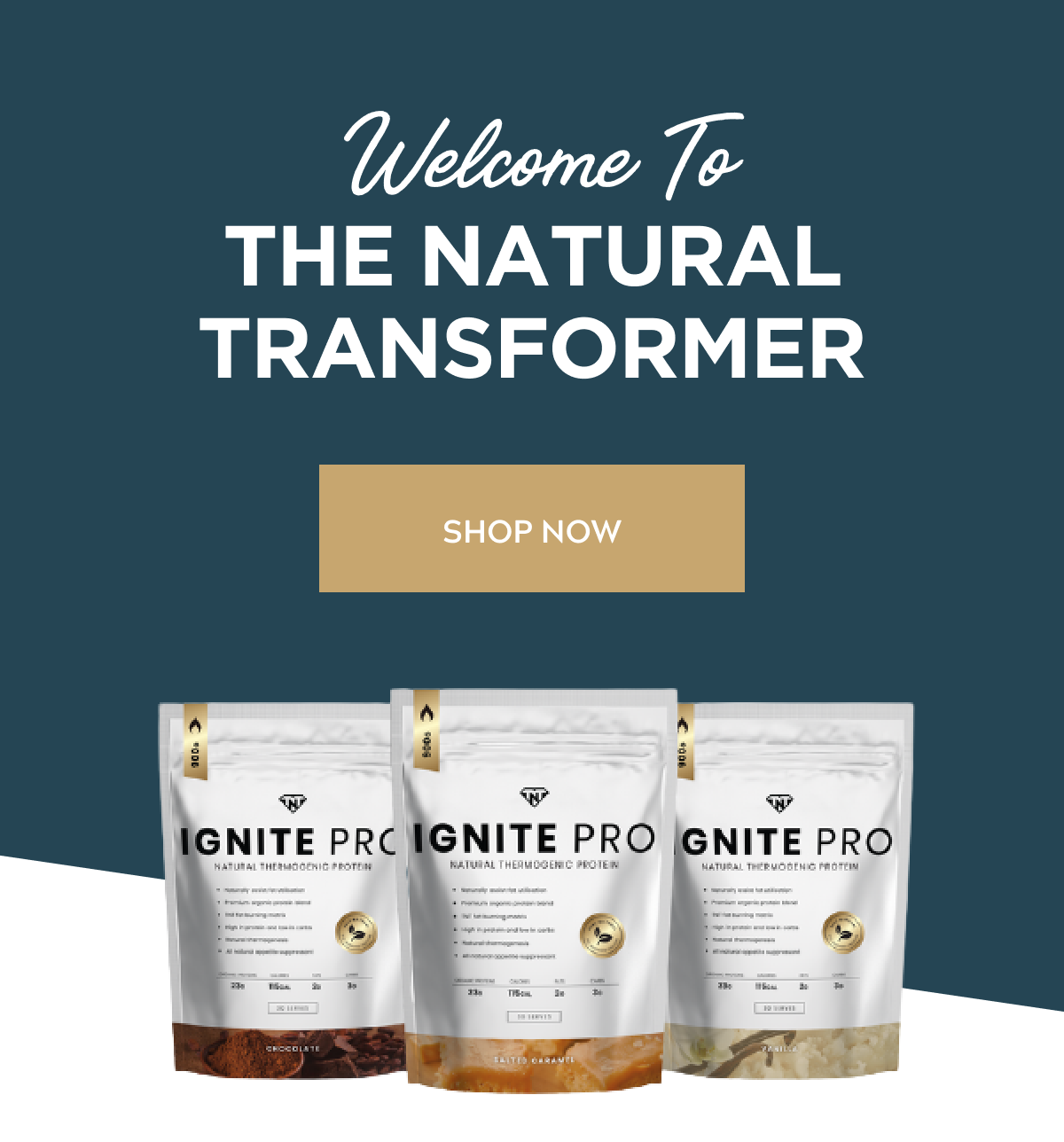 Welcome to The Natural Transformer – Shop Now