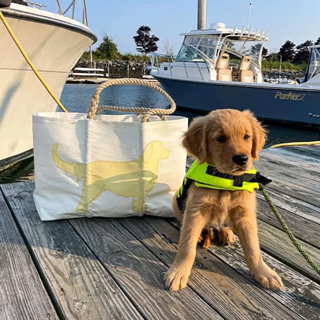 Golden Retriever Large Tote
