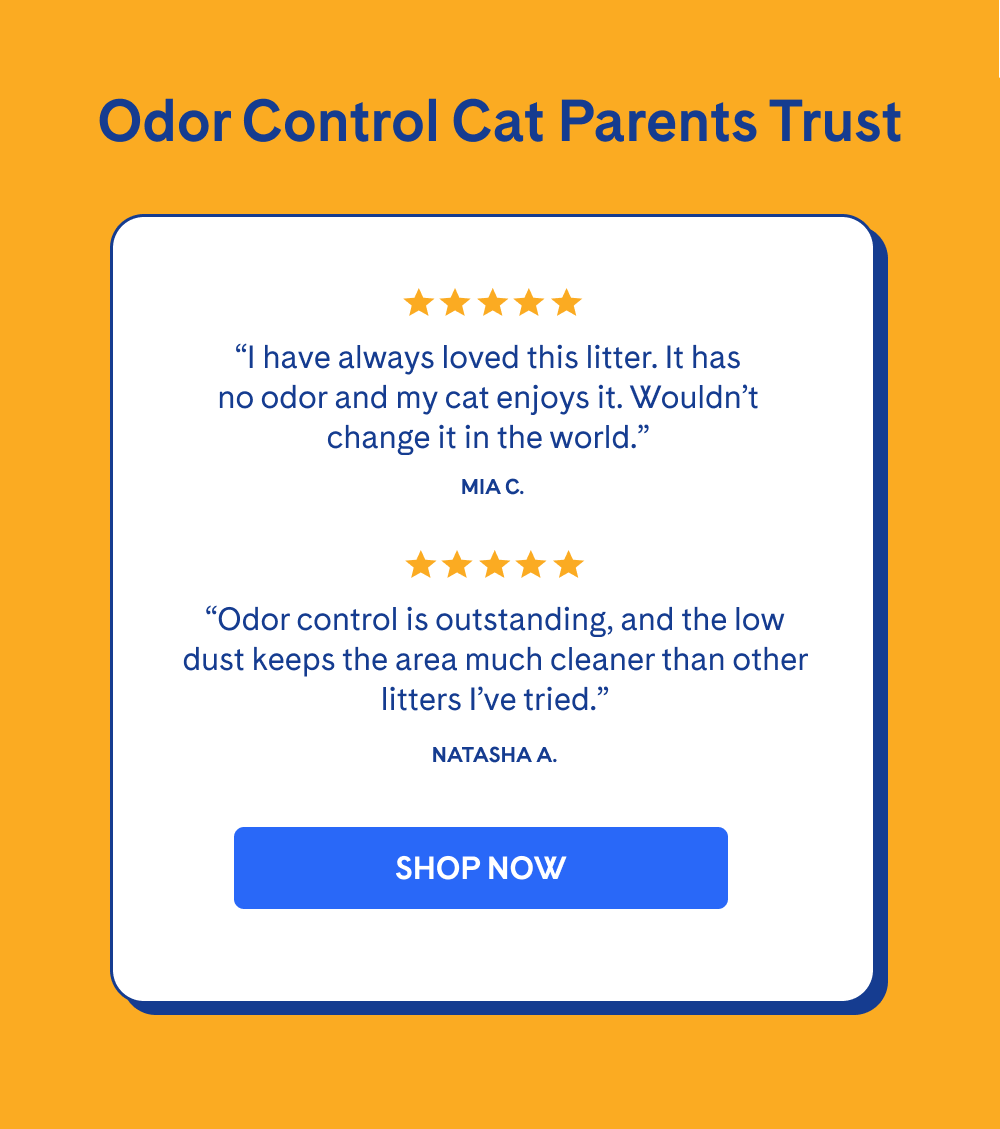 Odor Control Cat Parents Trust | SHOP NOW