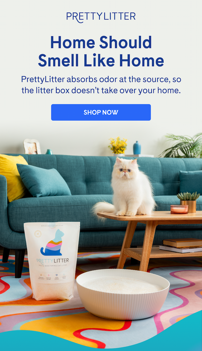 Home Should Smell Like Home | SHOP NOW