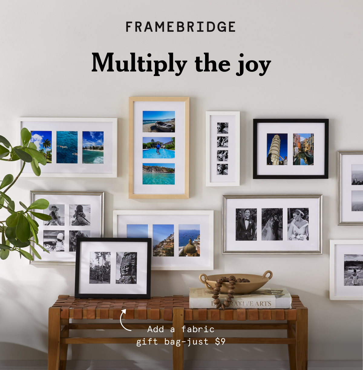 Multiply the Joy