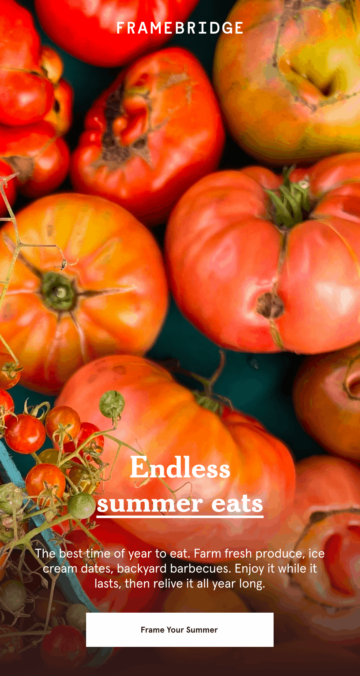 The best time of year to eat. Farm fresh produce, ice cream dates, backyard barbecues. Enjoy it while it lasts, then relive it all year long. Frame Your Summer