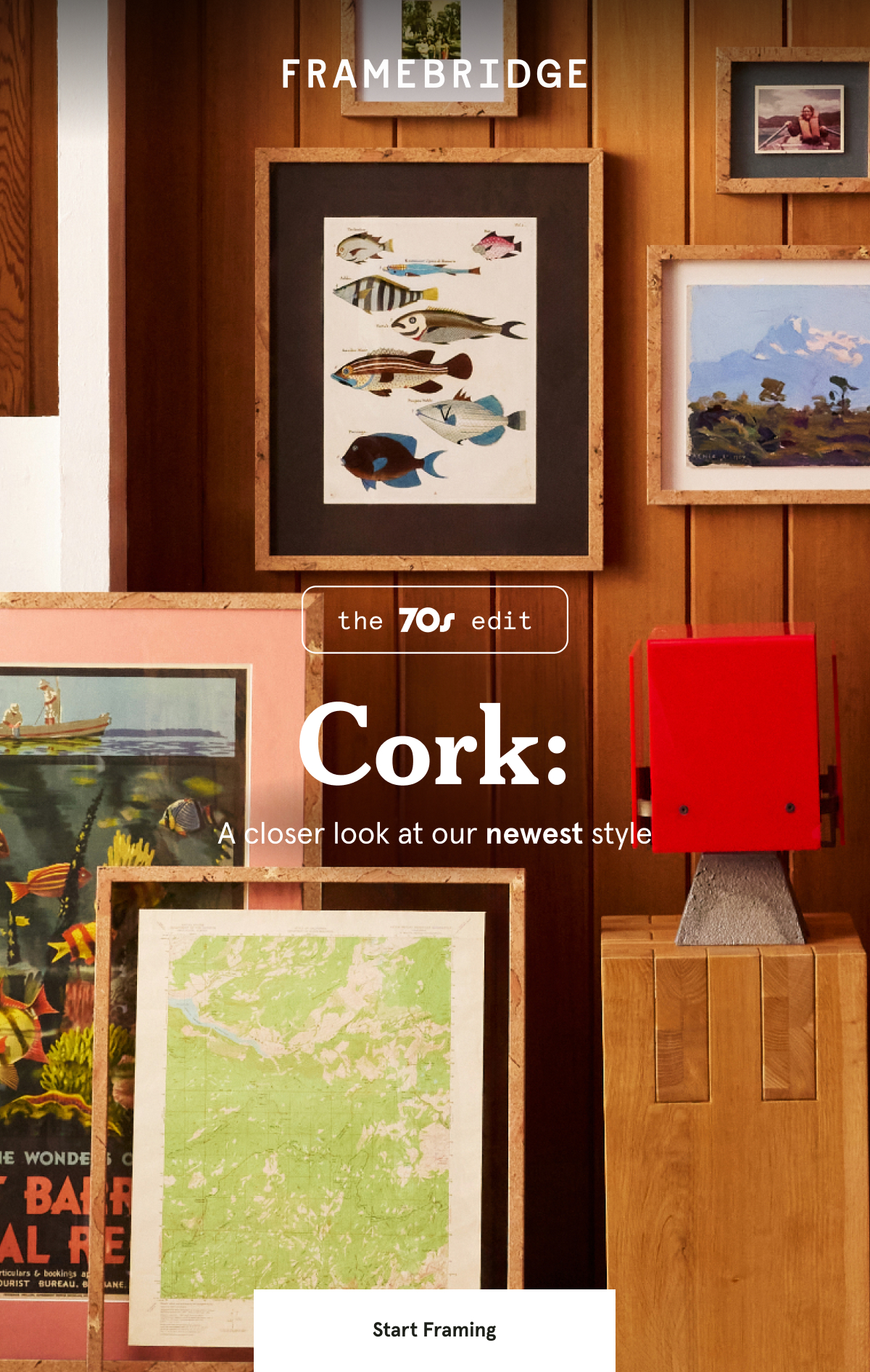 Cork: A closer look at our newest style