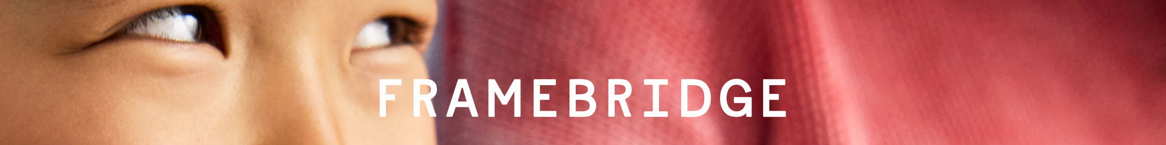 Framebridge Logo