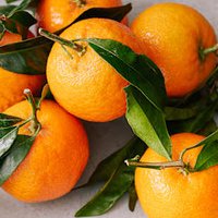Don't Throw Away Your Orange Peel—It's Actually The Healthiest Part