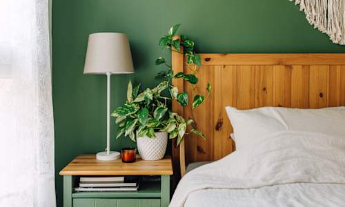 Napping At This Time Was Linked To Lower Body Fat & More Muscle