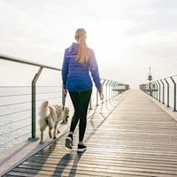 More Steps Or A Faster Pace? The Better Option May Surprise You