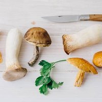The Common Food Compound That's More Important Than You Think