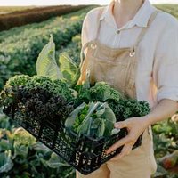 Want To Protect Your Brain Health? This Chemical Exposure Is One You Can Act On