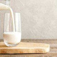 A New Review Says We've Been Thinking About Dairy All Wrong
