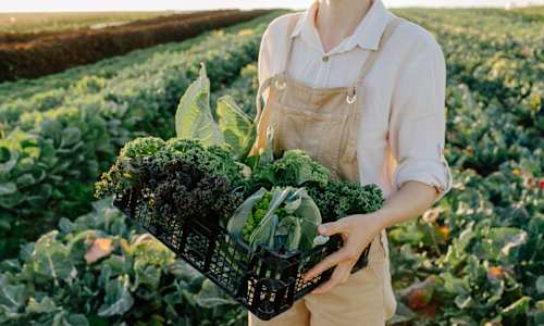 Want To Protect Your Brain Health? This Chemical Exposure Is One You Can Act On