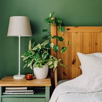 Napping At This Time Was Linked To Lower Body Fat & More Muscle