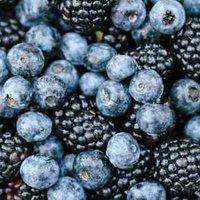 This Common Food Compound May Give Your Workouts A Gut-Health Boost