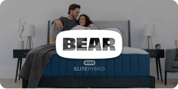Bear Elite Hybrid