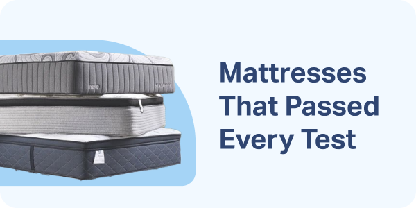 Mattresses That Passed Every Test
