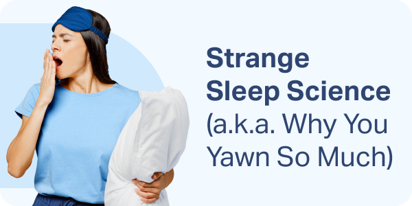 Strange Sleep Science (a.k.a. Why You Yawn So Much)