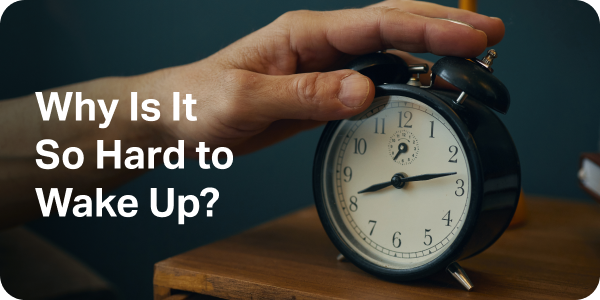 Why Is It So Hard to Wake Up?