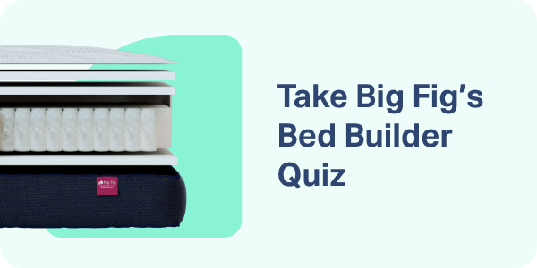 Take Big Fig's Bed Builder Quiz