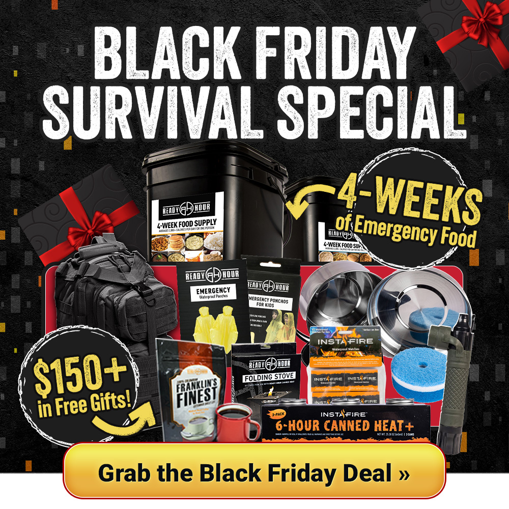 Black Friday Survival Special