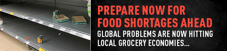 Save $250 on a 3-Month Food Kit!