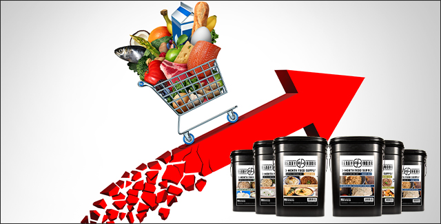 Save $250 on a 3-Month Food Kit!