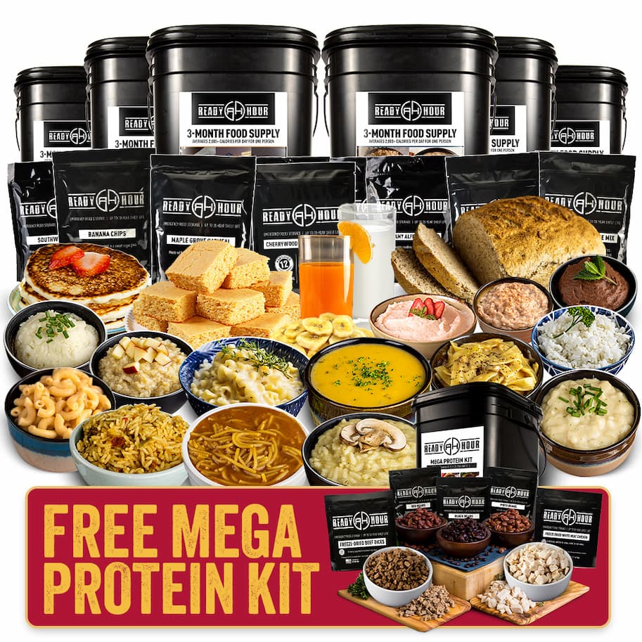 3-Month + MEGA Protein Kit FREE!