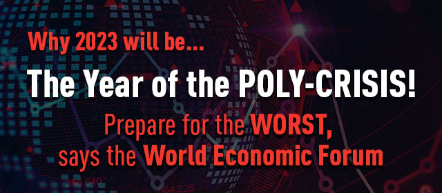 Why 2023 will be... The Year of the Poly-Crisis