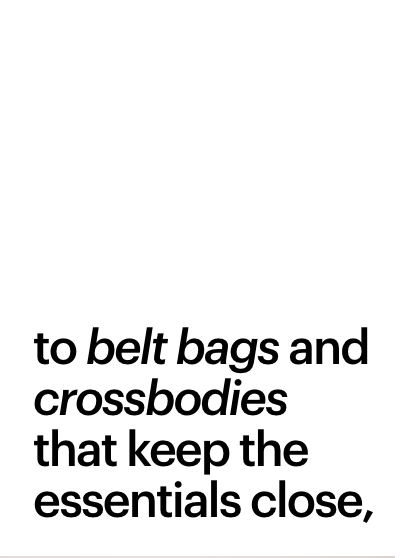 The Belt Bag
