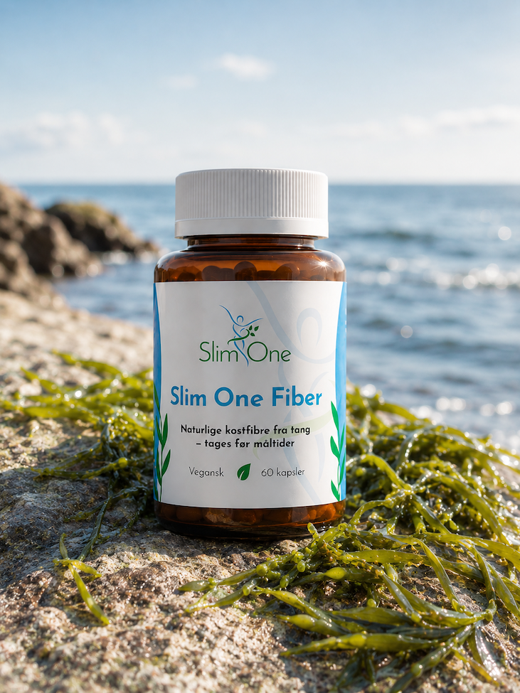 Slim One Fiber